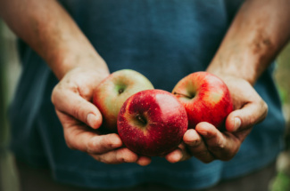 Person hält drei rote äpfel in den händen