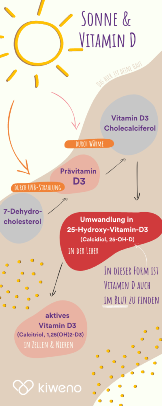 Infografik zur Produktion von Vitamin D durch Sonne