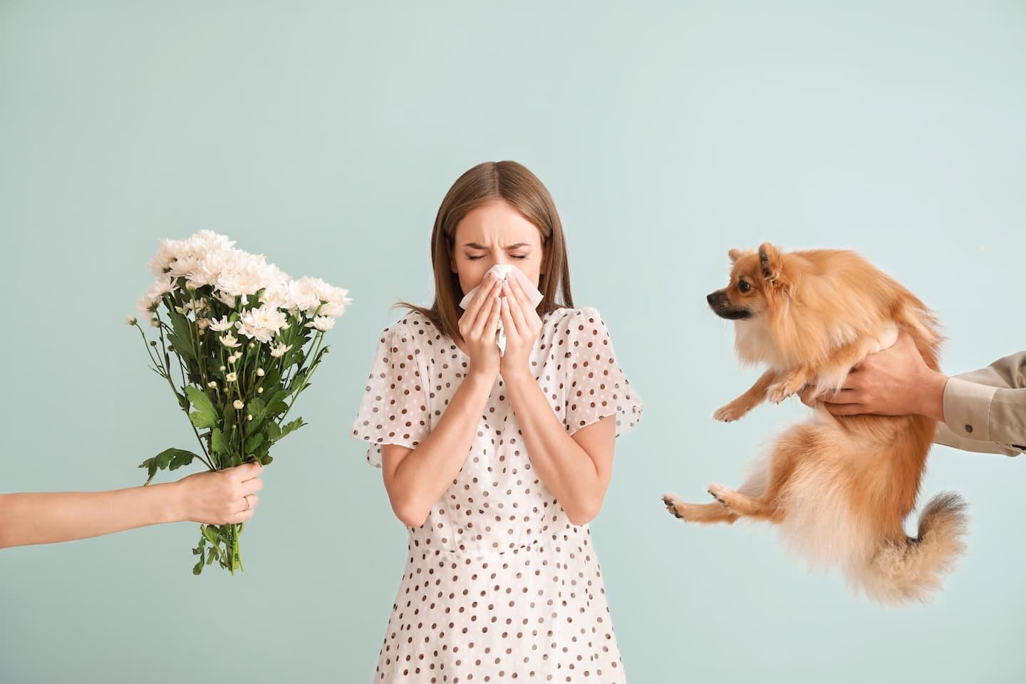 Frau muss niesen mit Hund und Blumen