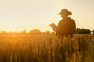 Frau steht mit Klemmbrett in Feld im Sonnenuntergang