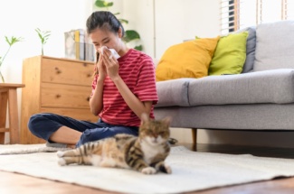 Symptome bei Katzenallergie: Erkennen & behandeln