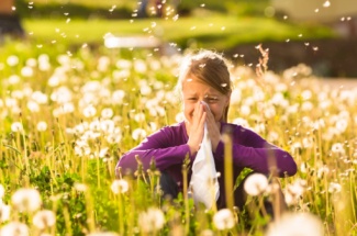 Allergien im Überblick: Symptome, Tests, Behandlung